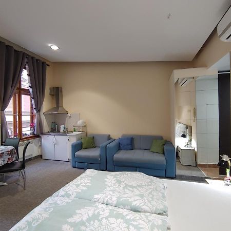 Apartment Danijela-City Centar Βελιγράδι Εξωτερικό φωτογραφία
