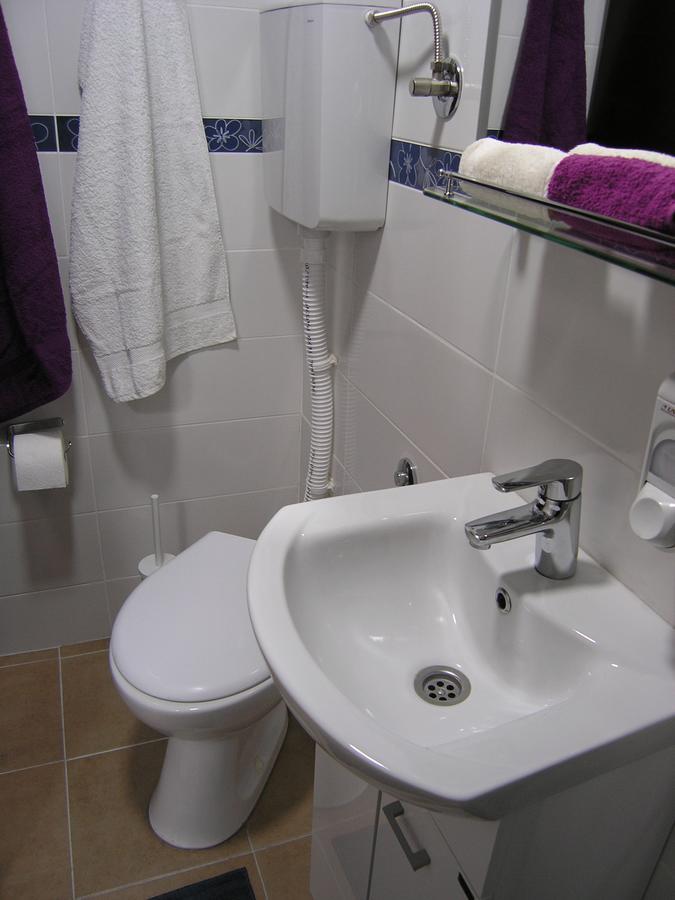 Apartment Danijela-City Centar Βελιγράδι Εξωτερικό φωτογραφία
