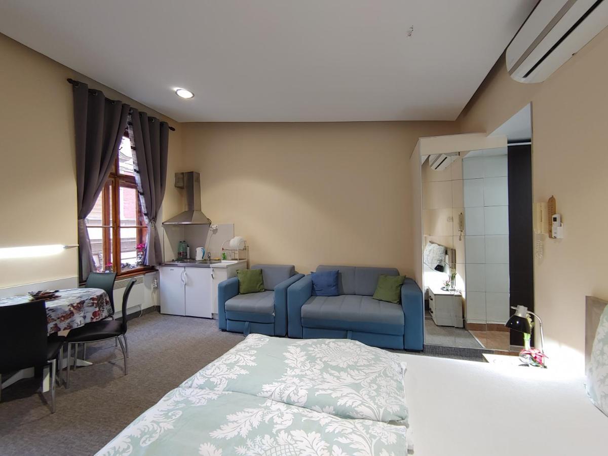 Apartment Danijela-City Centar Βελιγράδι Εξωτερικό φωτογραφία