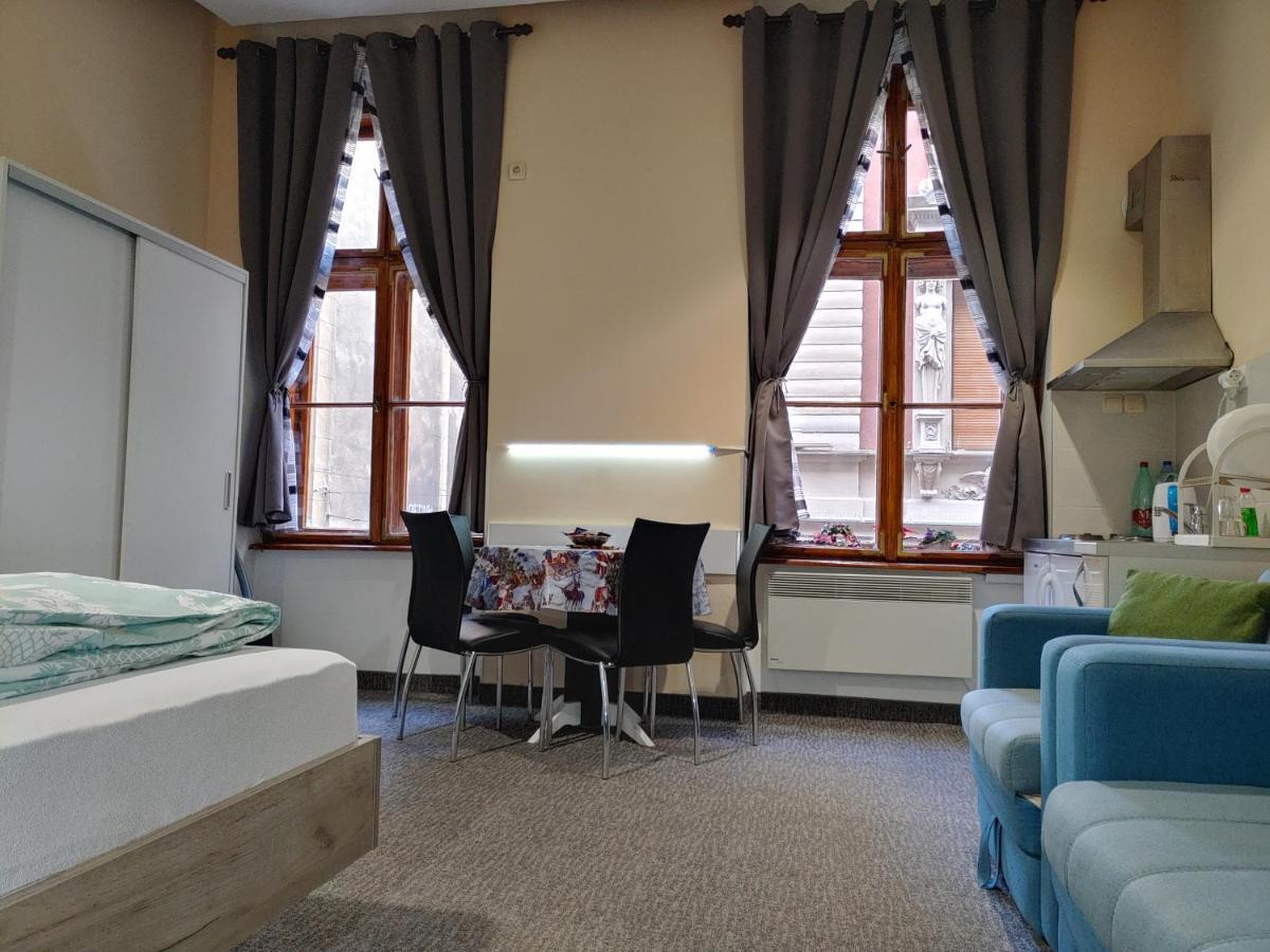 Apartment Danijela-City Centar Βελιγράδι Εξωτερικό φωτογραφία